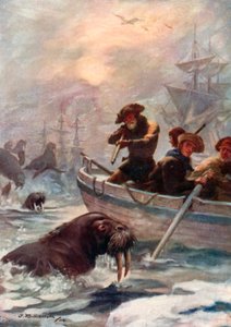 Kaptan Aşçılar yemek için morsları vuran mürettebat by J. Williamson